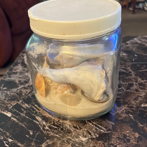 Sea shells - Picture 2 of 7